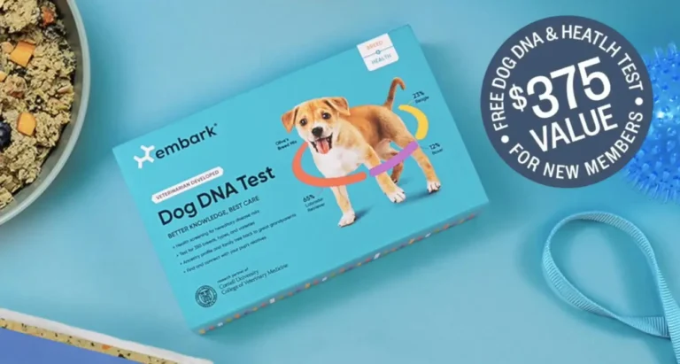 60% Off First Ollie Dog Food Box + FREE Embark Dog DNA Test!